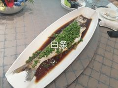 -新光酒家·河豚·海鲜·蟹料理(浦东店)