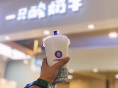 -一只酸奶牛(八一路店)