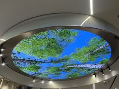 -ARC'TERYX始祖鸟(北京王府中环店)