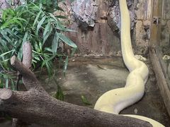 -上海大自然野生昆虫馆(东方明珠·爬宠昆虫探索中心)