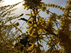 iphone_upload_pic-景山公园