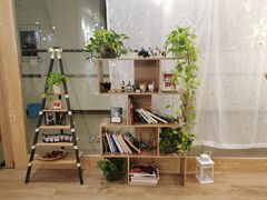 -iF摄影•全家福•证件照•形象照(南山店)