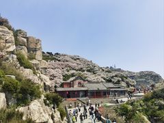 -泰山风景名胜区