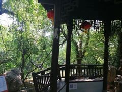 -绮园景区