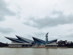 -盐城丹顶鹤湿地生态旅游区