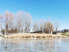 -马家湾湿地公园