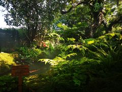 -Chom Cafe and Restaurant