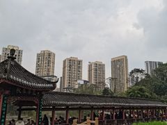 -龙头寺公园