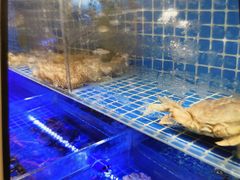 水产区-東大方(湖州白鹭迎店)