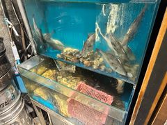 -桂马·日本料理·海胆·海鲜饭·酒场(民主广场店)