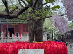 -红螺寺