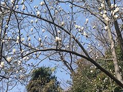 -扬州大运河文化旅游度假区·盆景园