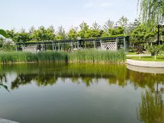 -西海子公园