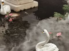 -白天鹅宾馆·流浮阁咖啡厅