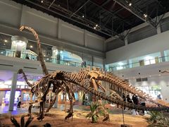 -自贡恐龙博物馆