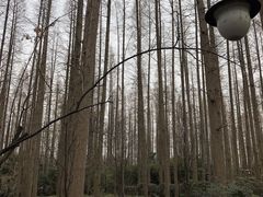 -上海怡沁园度假酒店
