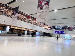 -TheRink大零溜冰场(IFS国金中心店)