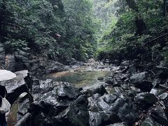 -鼎湖山风景区