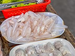 -章记正宗南岗鱼蛋火锅