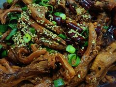 -新时代杨大师鸭爪爪