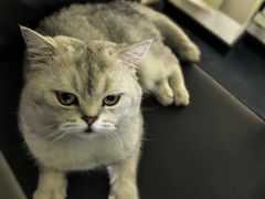 -沈阳铁西万象汇