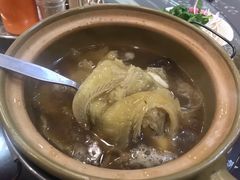 -大中鱼翅 Taitong Shark Fin