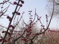 -北京明城墙遗址公园