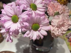 -半秋山西餐厅(巴南万达广场店)