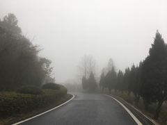 -江南天池高山汤泉城