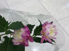 -BOBLOOM花店(宝龙旭辉广场店)