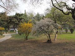 -辽宁大学(崇山校区)