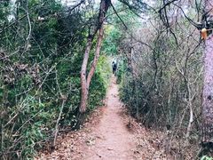 -树山生态村