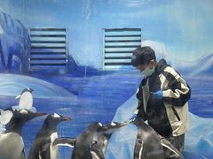 -重庆欢乐海底世界