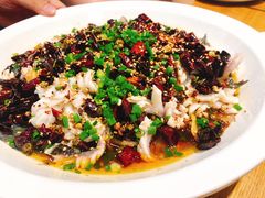 -三猫黑鱼花(南大店)
