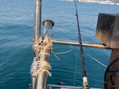 -深圳海钓·深圳钓鱼·拓展聚会鱼排