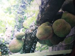 -北京市朝阳区妇幼保健院(南院区)