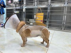 -莘程宠物医院(金山店)