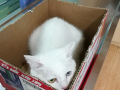 -瑞派宠物医院(锦江店)