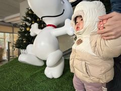-中粮·祥云小镇