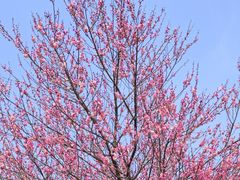 -浙江大学(玉泉校区)