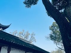 -苏州上方山国家森林公园