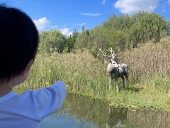 -溱湖国家湿地公园