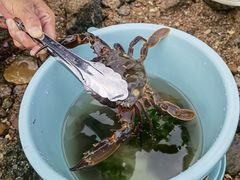 -银海大世界