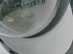 -纳吉亚猫专科动物医院·北北分院