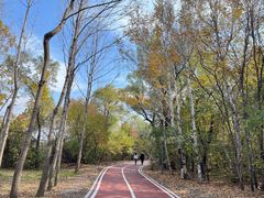 -长春市南湖公园