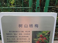 -树山生态村
