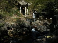 -大奇山国家森林公园