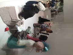 泰迪熊博物馆-济州岛泰迪熊博物馆