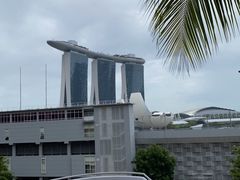 -新加坡文华东方酒店