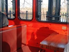 -合肥滨湖国家森林公园